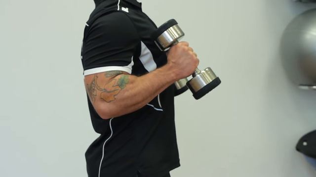Hammer Curls смотреть онлайн
