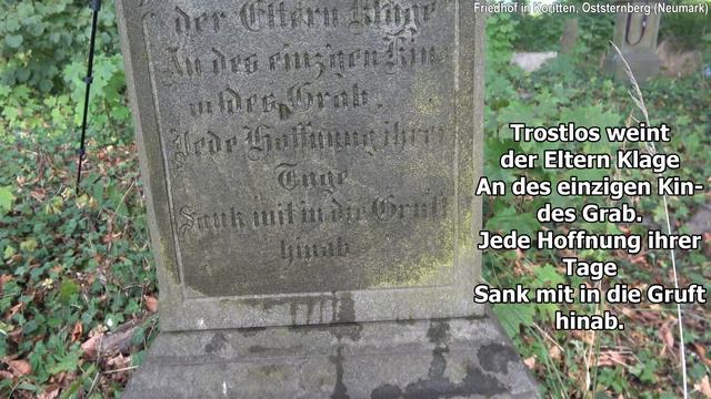 Friedhof Koritten in Oststernberg (Neumark) | Komplette Doku смотреть онлайн