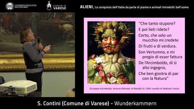 Wunderkammern O Camere Delle Meraviglie