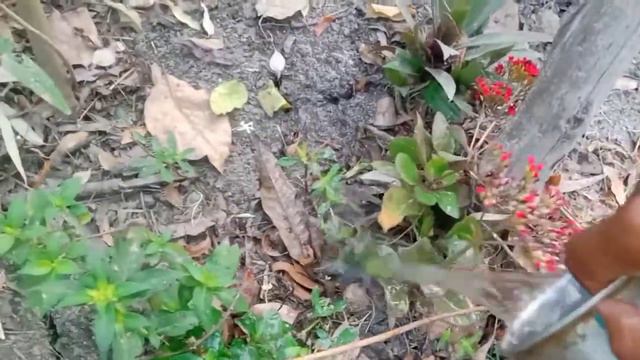 😭আমাদের পরীক্ষা টা বাতিল হলো কেন?#vlogs #bithibarai #bithispecia#exam batill 😭😭 смотреть онлайн