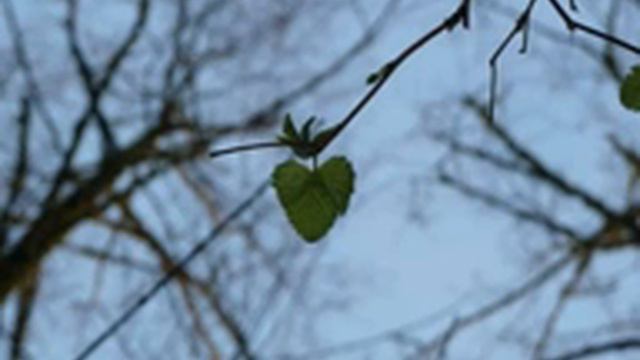 Ready Or Not By Darcy Lynn - YouTube.flv