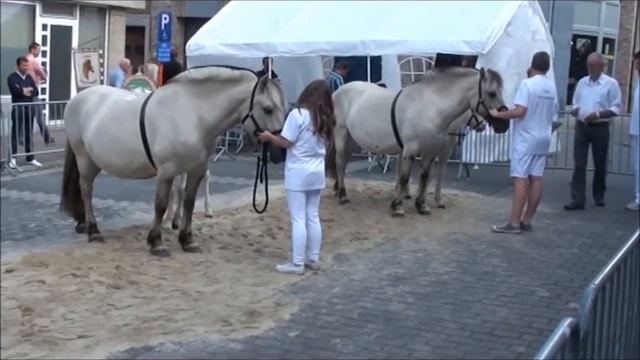 Paardenkeuring смотреть онлайн