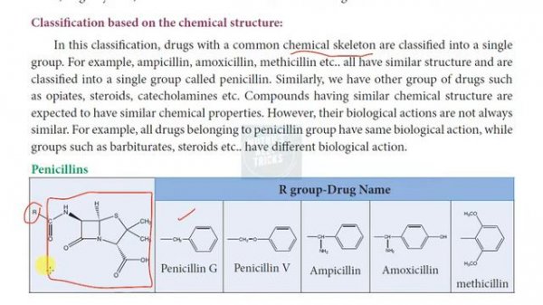 Drug and classification of drugs