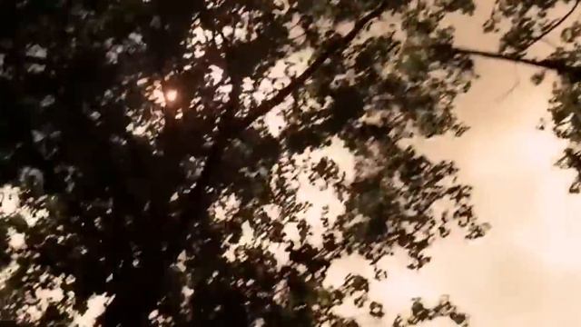 Taylor Swift - Crazier [HD] смотреть онлайн