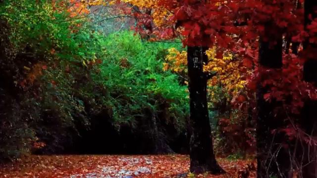 Luigi Alva. Mattinata. F. Paolo Tosti. смотреть онлайн