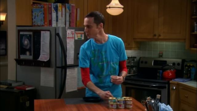 Sheldon Gets Cat-Mania смотреть онлайн