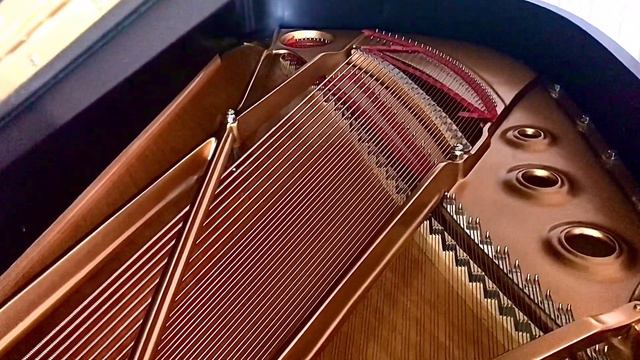 Samuel Barber Now have I fed in b minor смотреть онлайн