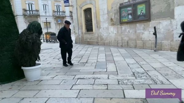 EPIC REACTIONS #bushman