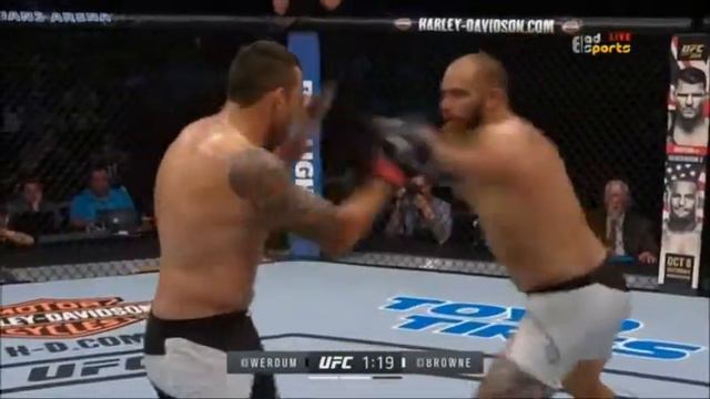 Fabricio Werdum vs Travis Browne смотреть онлайн