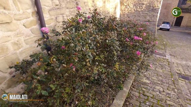 Maiolati; Il Borgo Di Gaspare Spontini