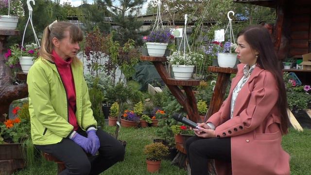 Місце розташування_Надвірна_Ольга Сенюк смотреть онлайн