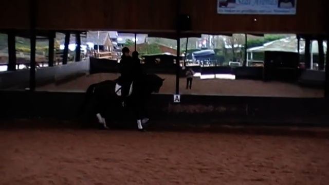 Stal Arends: Belissimo x Weltrekord смотреть онлайн