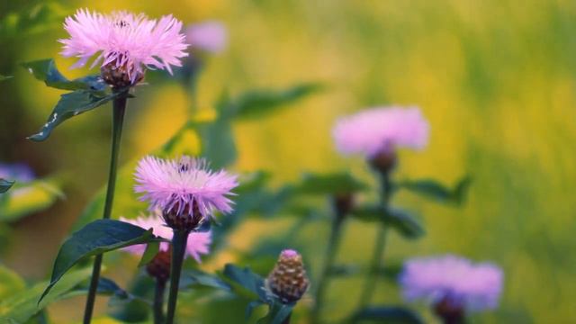 Читаем,Работаем,Отдыхаем.