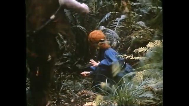 Circles in a Forest (Part 5 of 9) смотреть онлайн