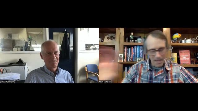 Pondering New Treatments for Epilepsy with Dimitri Kullmann смотреть онлайн