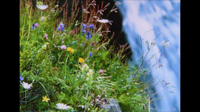 Beethoven Symphony No.6 - 