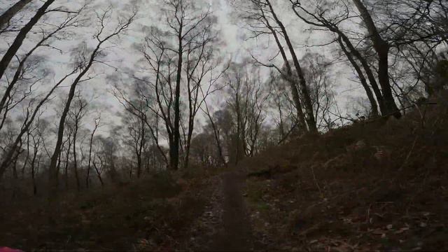 Surrey Hills MTB 💥 Winterfold Trails New To Me