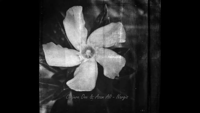 Conjure One & Azam Ali- Nargis