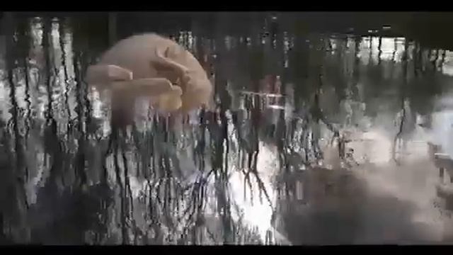 bibiana passadore - queyi - sylvia meyer - Correspondencia N4 смотреть онлайн