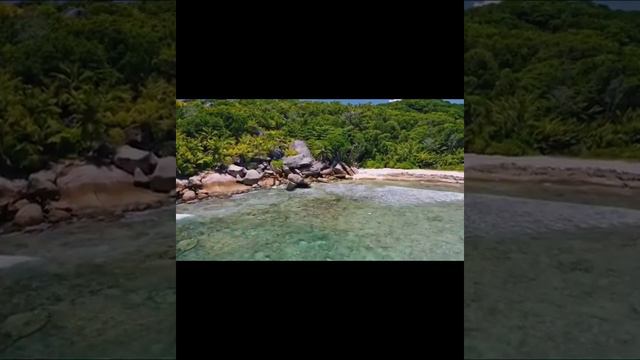 Джордж Бернард Шоу