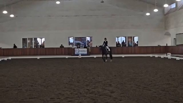 IEA DRESSAGE ZONES смотреть онлайн
