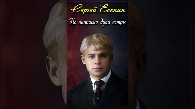 Не напрасно дули ветры - Сергей Есенин (читает Расул Давлетов) #shorts смотреть онлайн