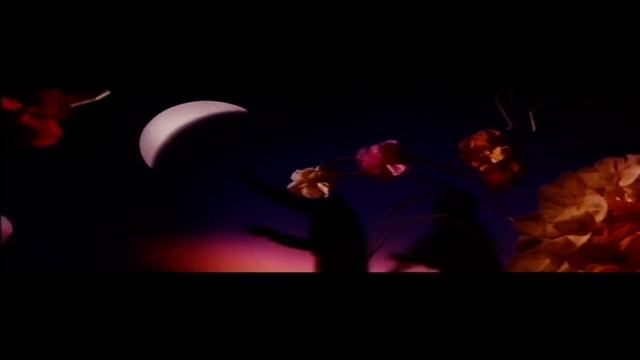 蕭芳芳 花月星輝 смотреть онлайн
