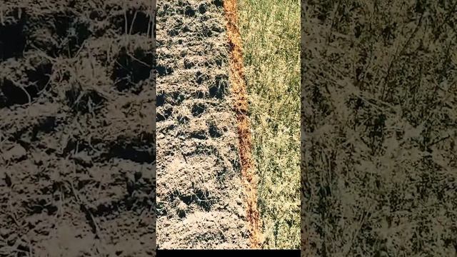 Устройство бороны дисковой Стеллар #farming смотреть онлайн