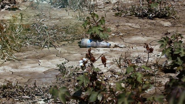 Büyük Menderes Nehri'nin Yolculuğu смотреть онлайн