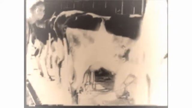 Retrolectro Hopper CLXXX (Leadbelly Diggin' My Potatoes Charlie Beale Blues House Rmx) смотреть онлайн