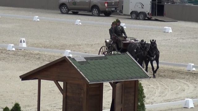 Roland István VARGA (ROU) - CAI***, H2, Szilvásvárad (Hungary), Dressage, 13 July 2023