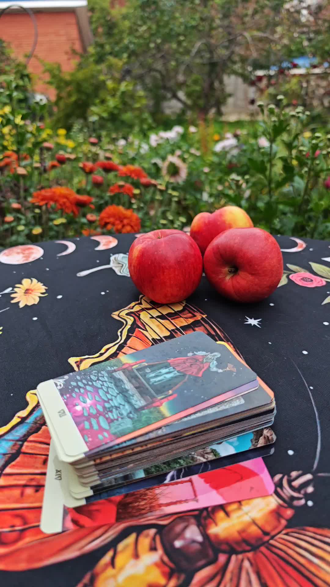 эфир о колоде ДВУСТОРОННЕЕ ТАРО смотреть онлайн