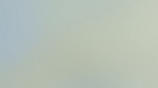 How, When And Why Medieval Universities Were Born + Ramble On Current Times