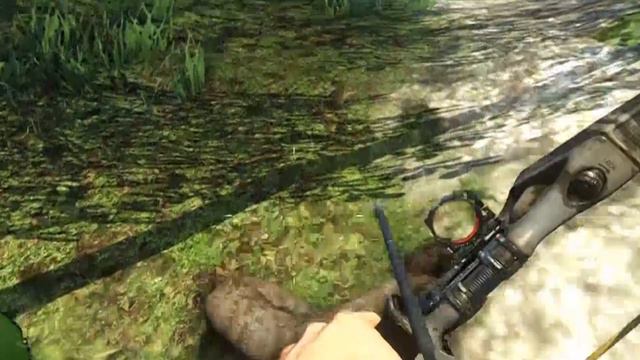 Far Cry 3 - Judgmental Dingo смотреть онлайн
