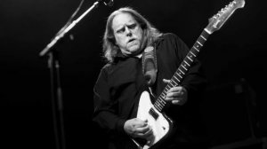 Warren Haynes