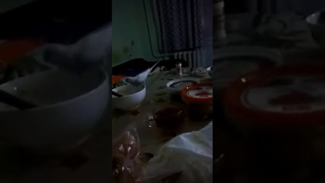 Чико хулиган)))) смотреть онлайн