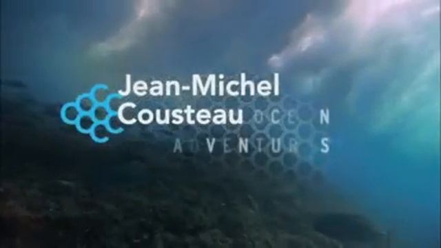 Jean Michel Cousteau Ocean Adventures Call Of The Killer Whale Orcas 2009 With Dr Ingrid N. Visser