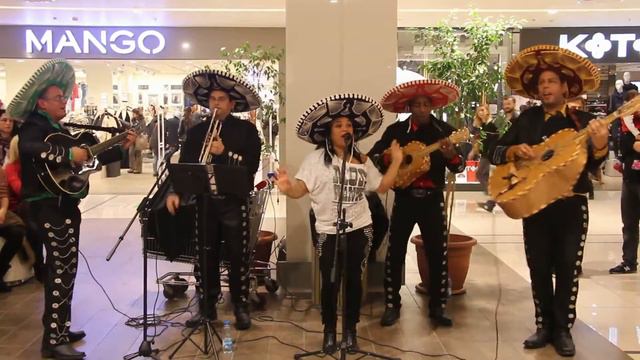 Little Mariachi Band @ Maltepe Park Aralık 2015 смотреть онлайн