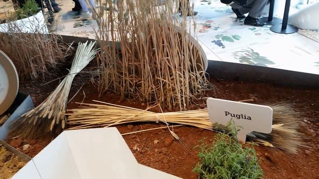 EXPO MILANO 2015 - Padiglione ITALIA - Le 4 Potenze Italiane - HD