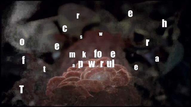 More Animal Writes by Benjamin Zephaniah смотреть онлайн