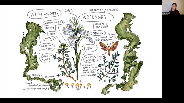 Transformative Encounters смотреть онлайн