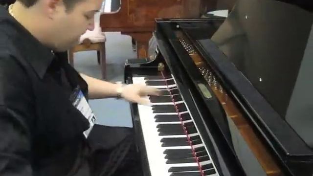 NAMM 2009 Ryan Ahern at Seiler Pianos смотреть онлайн