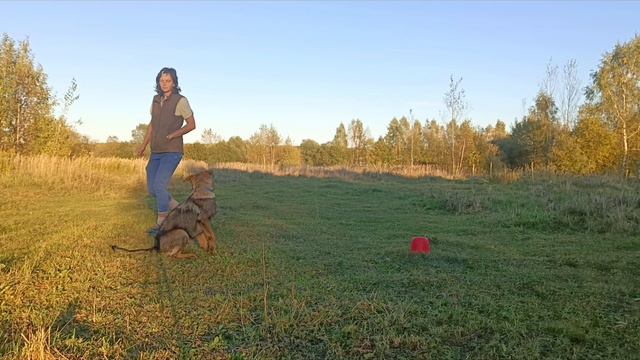  смотреть онлайн