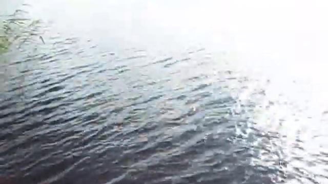 Fiske Vid Narven, Gårdsjö