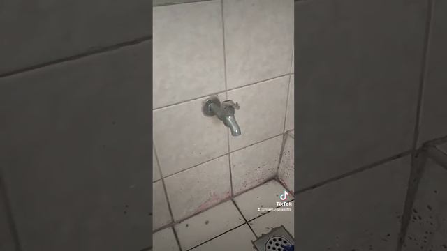 Brigada Eskwela sa Paaralang Elementarya ng Gregoria de Jesus☺️ смотреть онлайн