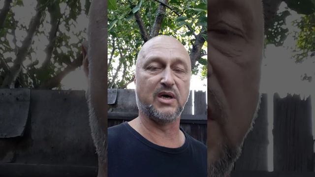 25.09.2023 Новая неделя / Благодарности / Книга и фильм недели смотреть онлайн