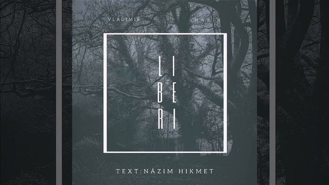Liberi-Marin & Vladimir смотреть онлайн