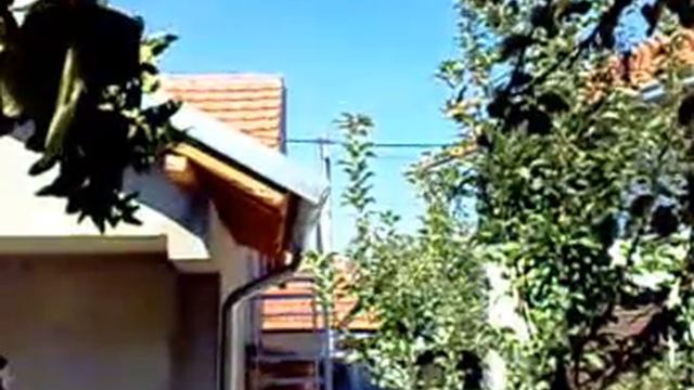 EVN Macedonia смотреть онлайн