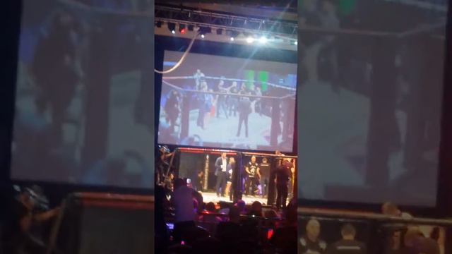Pavel Doroftei UCMMA Fight смотреть онлайн