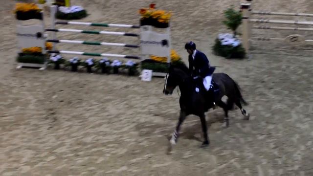 AFFENTRANGER Fabian Milano Winter Show 1* Grand Prix смотреть онлайн